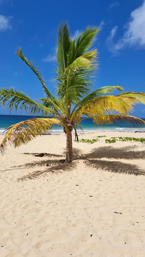 Studio Plage De L'Anse Caritan Sainte-Anne Dış mekan fotoğraf