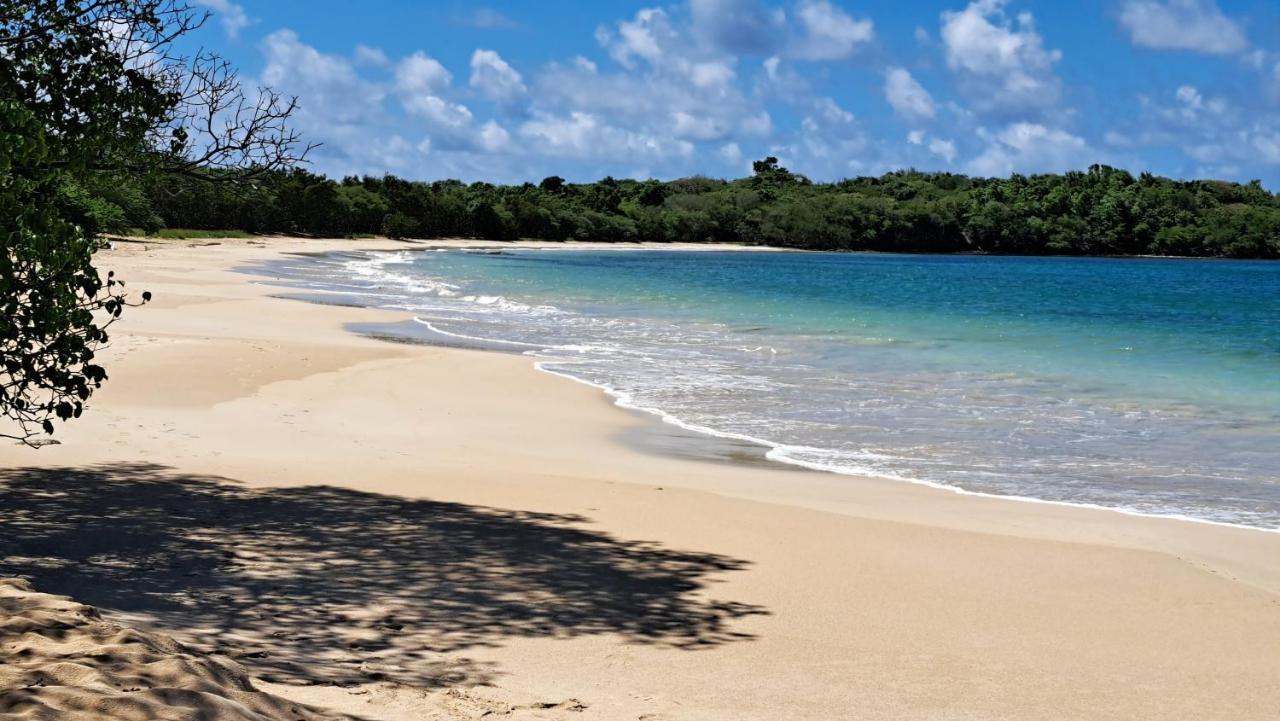 Studio Plage De L'Anse Caritan Sainte-Anne Dış mekan fotoğraf